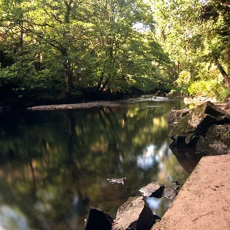 Coral Gables & بيت ضيافة روسلير