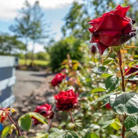 Coral Gables & ゲストハウス 3*