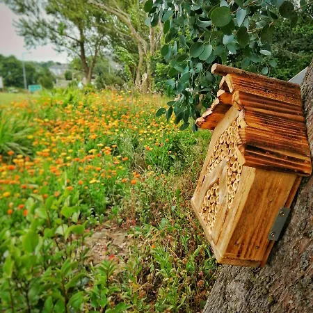 بيت ضيافة Coral Gables &