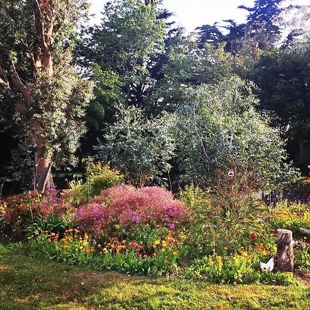Coral Gables & Rosslare Harbour