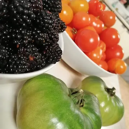 Coral Gables & ゲストハウス