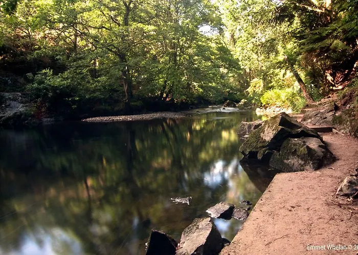 Coral Gables & Penzion Rosslare Harbour