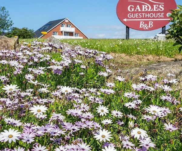 Coral Gables & Penzion 3*