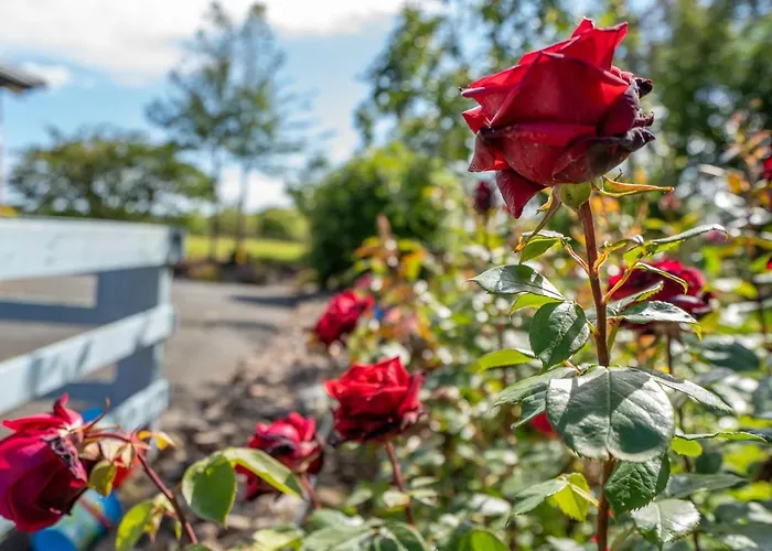 Coral Gables & Penzion 3*