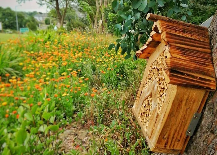 Penzion Coral Gables &