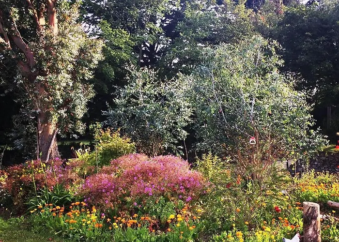 Coral Gables & Rosslare Harbour