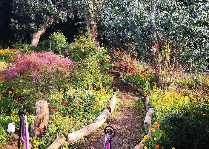 Coral Gables & 3* Rosslare Harbour